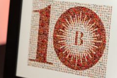 Brilla-10yr-Celebration-236