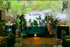 Sankofa-Haus-wild-ones-baby-shower