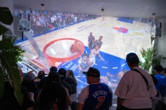 KNICKSIN5-2939