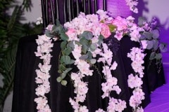 DSC0915
