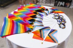 Mile Style Pride Run