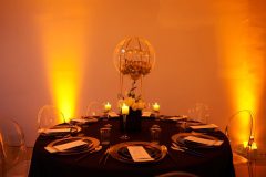 Pretty Mike Birthday Party