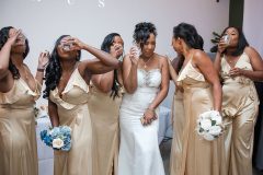 Shaniece & Isaiah Wedding
