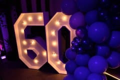 Z8P_1037