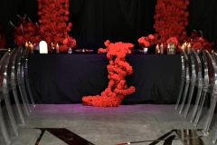 auckvision-thom-n-Mikell-277